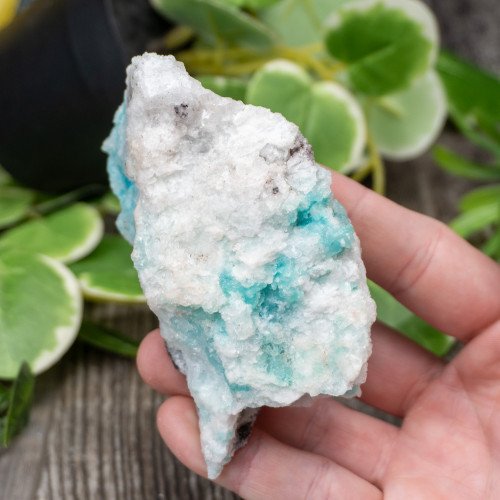 Blue Quartz in Selenite with Black Calcite #1