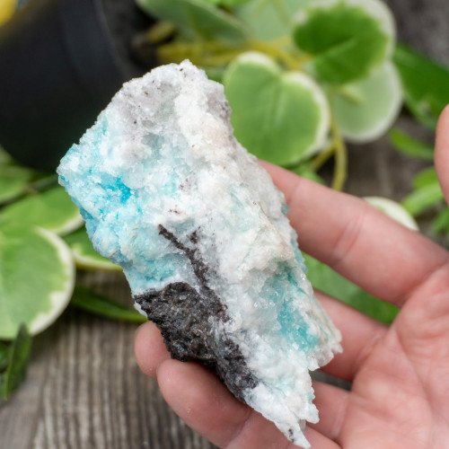 Blue Quartz in Selenite with Black Calcite #1