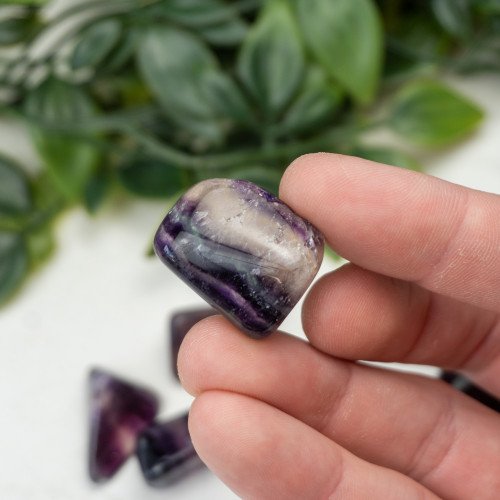 Purple Fluorite Tumbled