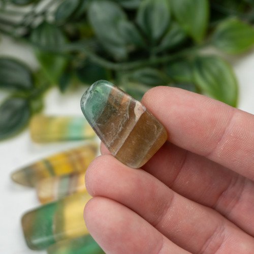 Yellow & Green Fluorite Tumbled