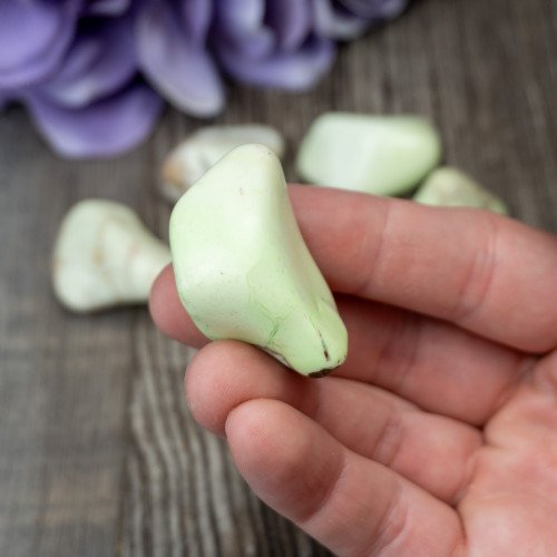 XL Lemon Chrysoprase Tumbled