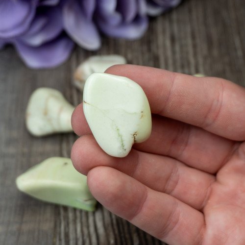 XL Lemon Chrysoprase Tumbled