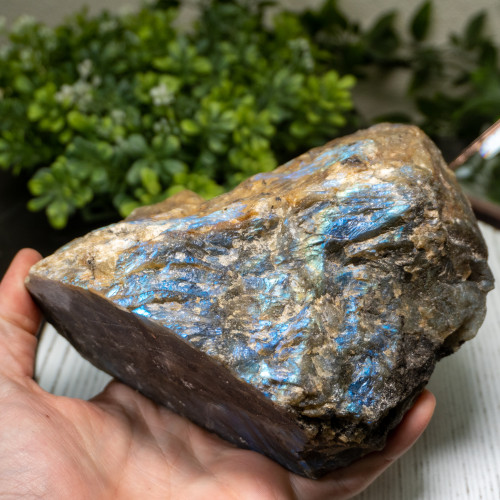 Labradorite Half Polished #3