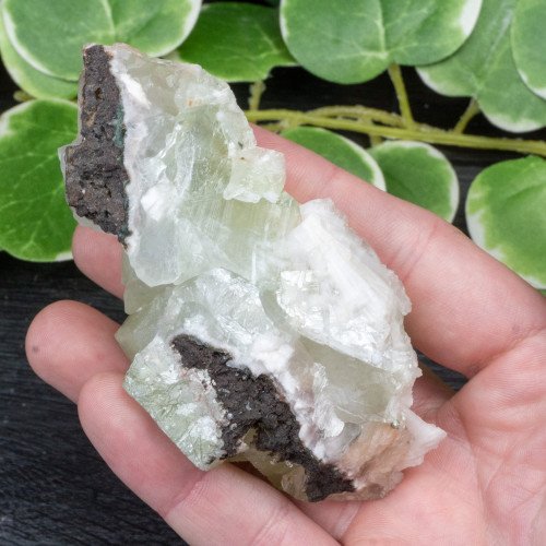 Green Apophyllite with Stilbite and Scolecite #20