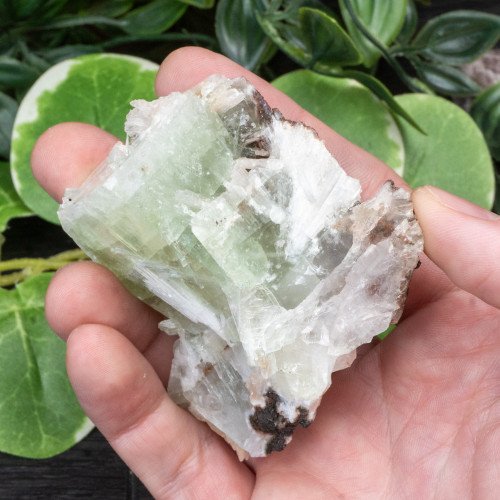 Green Apophyllite with Stilbite and Scolecite #18