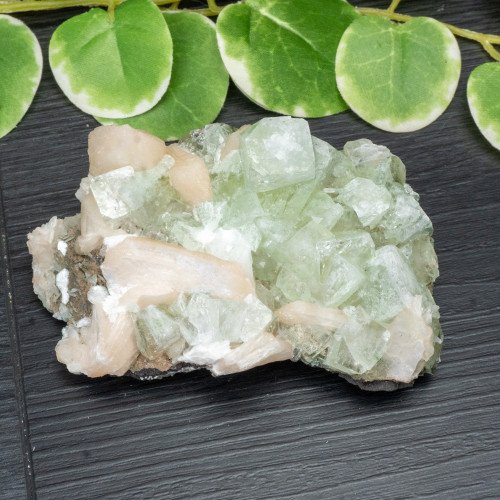 Green Apophyllite with Stilbite and Scolecite #17