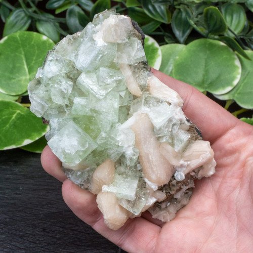 Green Apophyllite with Stilbite and Scolecite #17