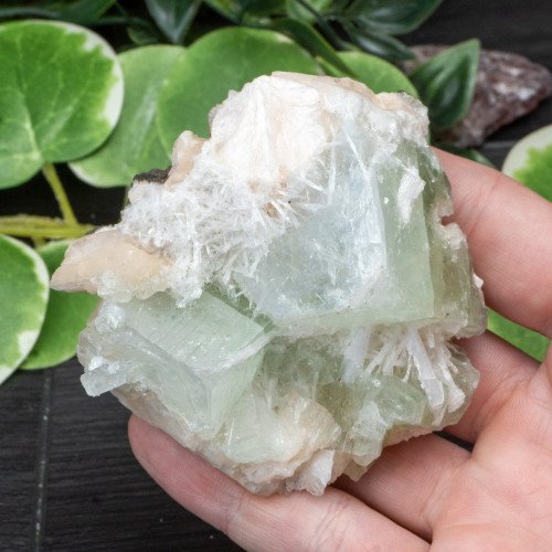 Green Apophyllite with Stilbite and Scolecite #16