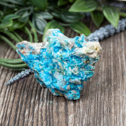 Chalcanthite #6