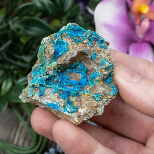 Chalcanthite #1