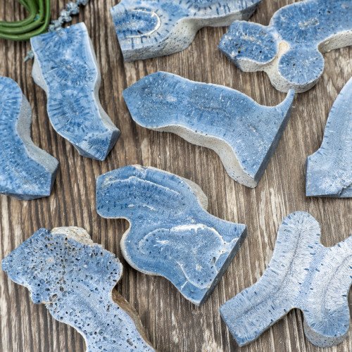 Blue Coral Slice Small Random
