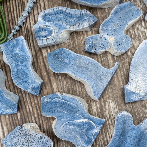 Blue Coral Slice Small Random