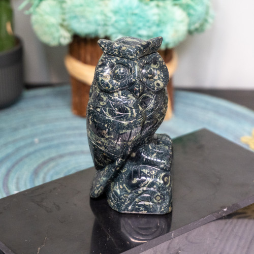 Kambaba Jasper Owl