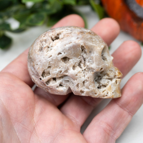 Quartz in Sphalerite Skull #3