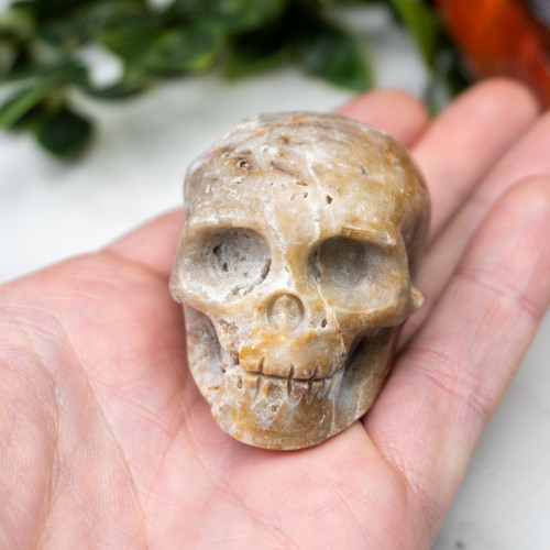 Quartz in Sphalerite Skull #3