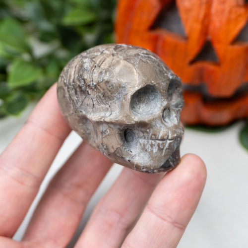 Quartz in Sphalerite Skull #2