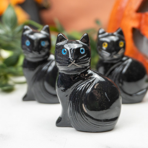 Black Onyx Cat