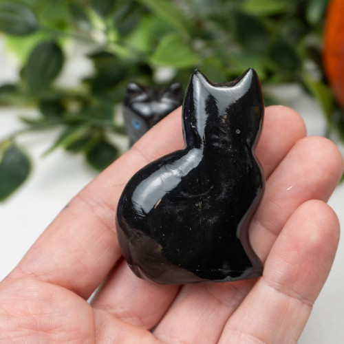 Black Onyx Cat