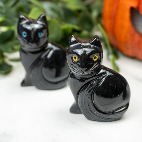 Black Onyx Cat