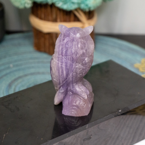 Purple Fluorite Owl