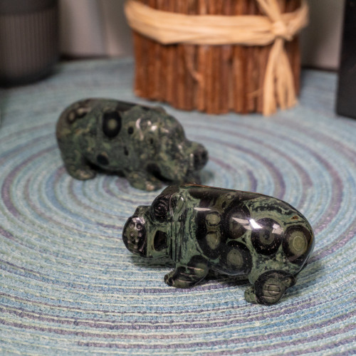 Kambaba Jasper Hippo