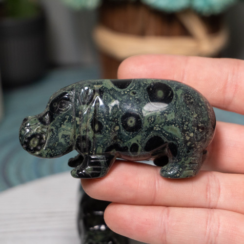 Kambaba Jasper Hippo