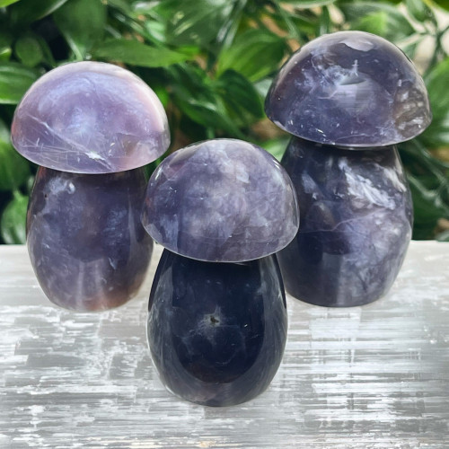 Purple Chalcedony Mushroom