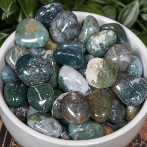 Moss Agate Tumbled