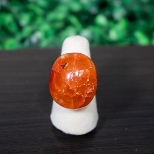 Polished Carnelian Ring #1