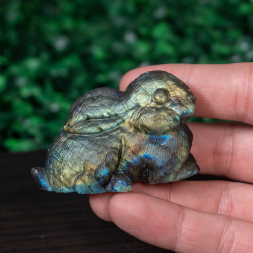 Labradorite Bunny