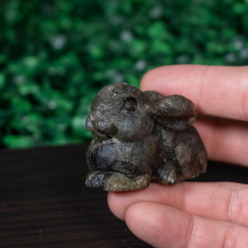 Labradorite Bunny